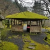 白龍神社