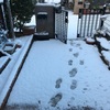 2回目の雪掻き