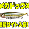 【メガバス】遠心力でウェイト移動する慣性バランサーシステム搭載「メガドッグX」通販サイト入荷！