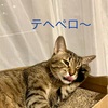 最初はテキトー最後は暗い