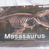 モササウルス　1/32骨格プラモデル。