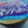 ブルーベリーヨーグルト味　アイスクリーム