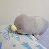 日記：ペンたろー