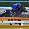 指名馬情報:牝馬第3位