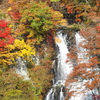 日光の穴場紅葉スポット霧降ノ滝
