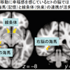 記憶と快楽の関係（脳を喜ばせると幸せになれるかも）