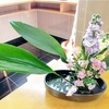 虹の橋を渡るから