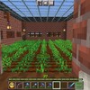 のんびりマイクラS６＃53～草原の村再開発事業に着手する