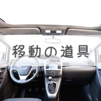 車のボディ色で シルバー はダサいのかという問題 私は好きです ブドウ糖の浪費