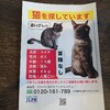 猫を探してる人がいます！