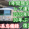 185系定期運行終了1年前にレア運用誕生 なぜ? 2020年から1年間だけ30年ぶりに復活したSSL経由の踊り子号とは？
