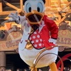 ディズニー　原則１日５０００人