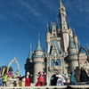 【新婚旅行 in ＷＤＷ】ＷＤＷの魅力