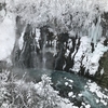 千歳→旭川→美瑛→富良野→洞爺湖→登別→千歳～北海道ふっこう割ツアー旅行記