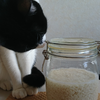 今日の黒猫モモ＆白黒猫ナナの動画ー９２２