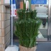 明けましておめでとう