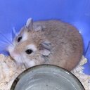 シン・Ryuseiは今日も雨を呼ぶ