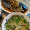 釣った魚を料理する！