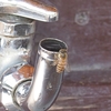 水を飲む蜂  Bienen am Wasser