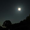 夜散歩