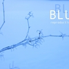 BLUE - reproduction image