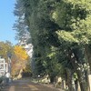 伝えること（4）
