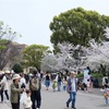 翌日の女子会