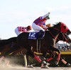 競馬初心者必見☆馬券予想🔥〜フェブラリーステークス〜購入馬券大公開㊙︎