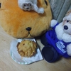 #ビァードパパ#ニューヨークチーズケーキ#シュークリーム