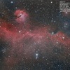 1月観測会・新赤道儀導入、かもめ星雲、お玉杓子星雲、他