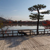 京都の紅葉2014・大覚寺の大沢池