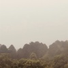 今朝の景色