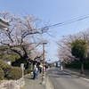 西尾で花見とビーチコーミング 