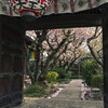 雨宝院