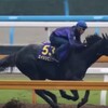 競馬無双で競馬予想！【天皇賞（秋）追い切り調教】 エイシンヒカリ、国内ラストランヘ武豊を背に最終追い切りで軽快な動き 「競馬レース結果ハイライト」2016年≪競馬場の達人,競馬予想≫競馬調教 競馬追い切り調教JRA-VAN対応競馬ソフト