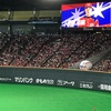 札幌ドーム 斎藤佑樹投手