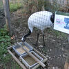 ２０１８／１１　東武動物公園