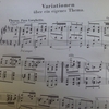 ブラームス　自作主題のテーマによる変奏曲　ニ長調　作品21-1/Brahms Variationen uber ein eigenes Thema D-Dur Op.21-1