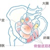 尿漏れは弱まる骨盤底筋群が原因⁉️