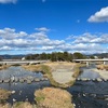 １月の最新予約状況です