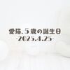 愛猫、５歳の誕生日