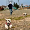 ちょっと寒い日