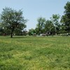 Memorial Day at Boston Common