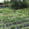 雨の季節の安否確認