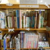 猫まっしぐら