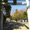 大杉神社