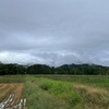 2023/10/01 日曜日　蕎麦屋へ行く