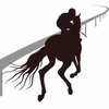 6.18  阪神競馬　注目馬