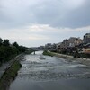 今年は毎日、自転車操業