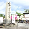 京都嵐山に行ってきました〜天龍寺、竹林の小径、野宮神社〜